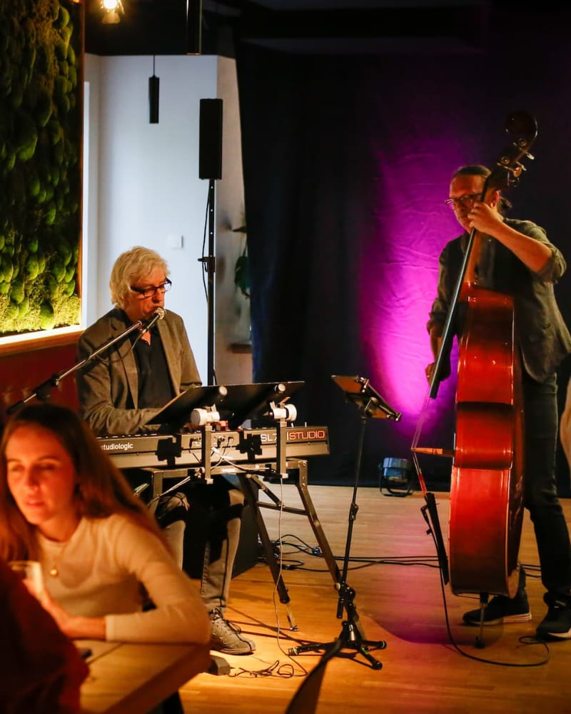 Livemusik Chanson Wein